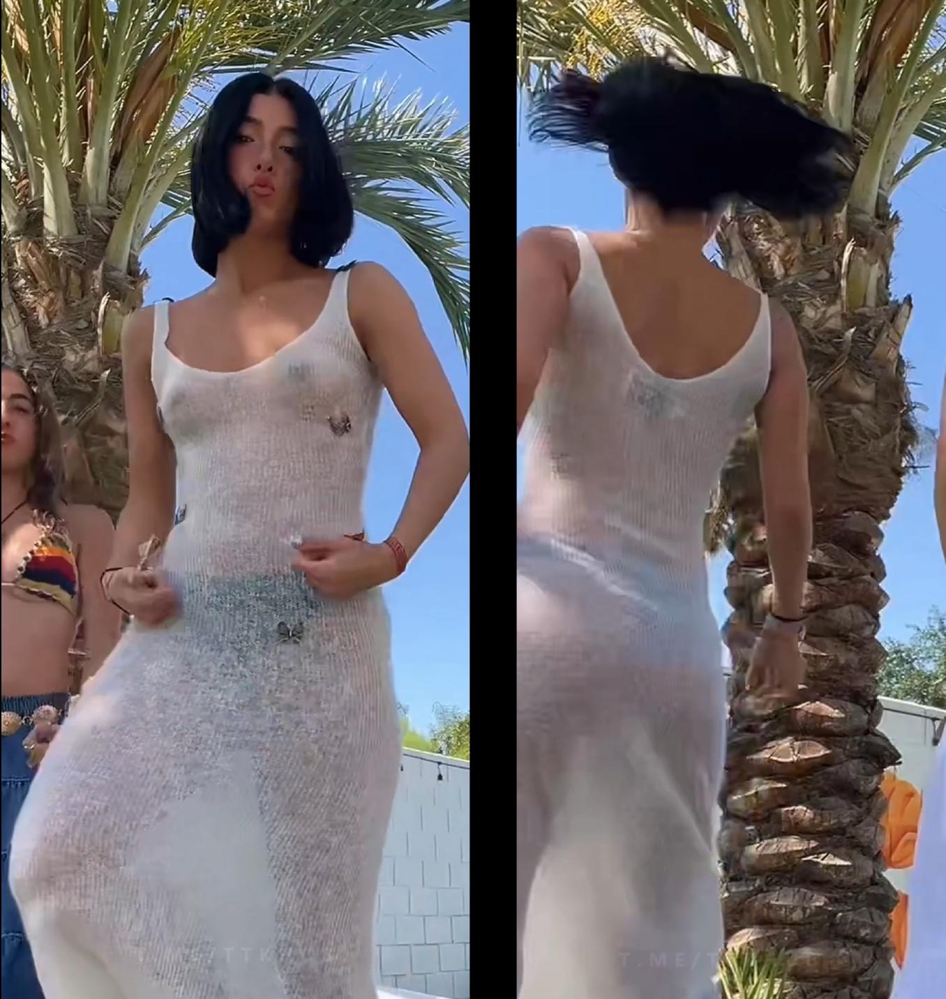 Charli damelio nipslip